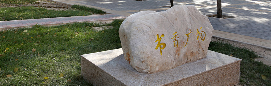 对外经济贸易大学校园书香广场景观石与林荫道
